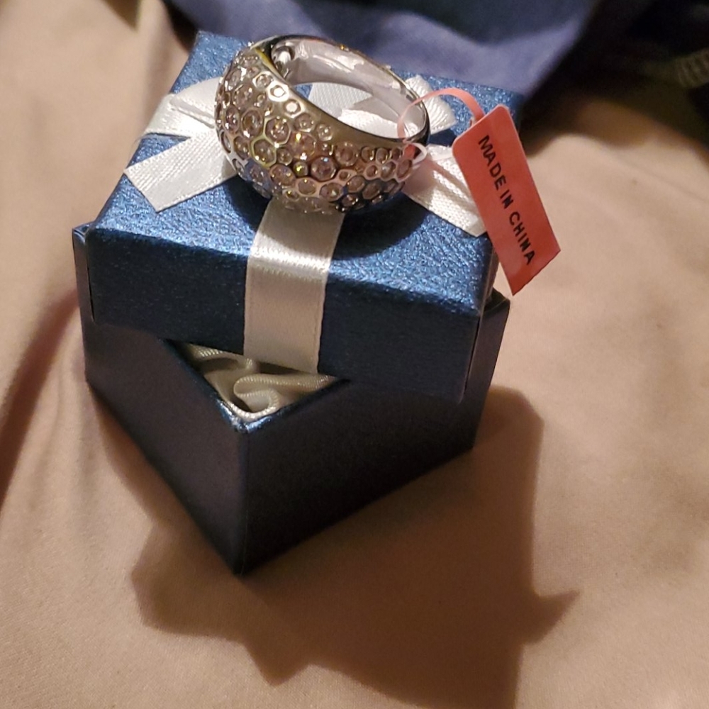 Silver Ring costume